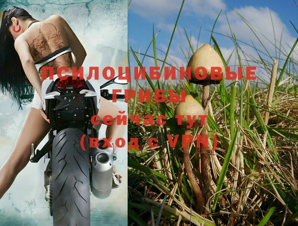 скорость Тихорецк